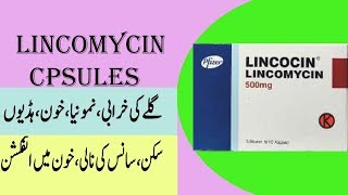 Lincomycin capsule lincomycin capsule uses [upl. by Meesaw]