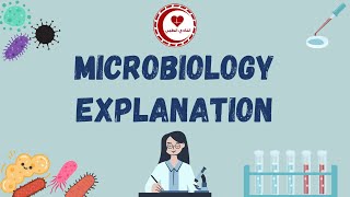 06 Gram positive Cocci part 1 staphylococcus [upl. by Assanav664]