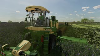 FS 22 Stone Valley 22  26  Alfalfa Hay Windrow Timelapse [upl. by Ahsiemal]