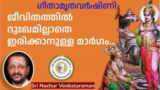 ജീവിതത്തിൽ ദുഃഖമില്ലാതെ ഇരിക്കാനുള്ള മാർഗം… Sri Nochur Swami  Bhagavad Gita Ch18Palakkad 2016 [upl. by Mazel]