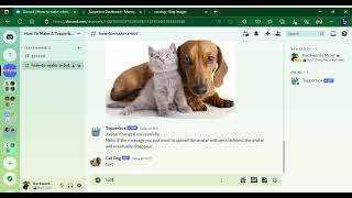 How To Make A Bot On Tupperbox 2023 Discord [upl. by Stephanus926]