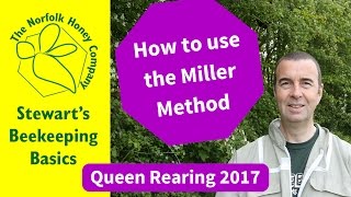 Queen Rearing  How to use the Miller Method [upl. by Akira]