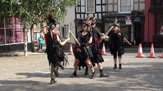 Styx of Stroud Border Morris 4 dancers quotBrimfieldquot during Bromyard Folk Festival 2023 [upl. by Shandeigh]