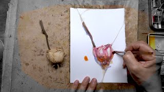 PROCESS Daily Rose Watercolour Painting DAY 3391 20241119TUE [upl. by Chapell814]