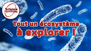 Microbiote  le monde secret de vos intestins  Science En Questions [upl. by Assirhc296]