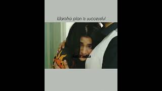 Warisha plan is successful 🎉👏laibakhan aafat shots status [upl. by Shulem]