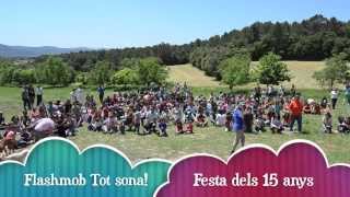 Flashmob Tot sona [upl. by Eiuol861]