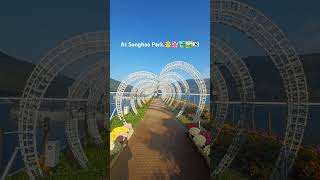 Beautiful Songhae Park Series 1🌸🌼🏞🖼🇰🇷 music song pop lyrics cover challenge korean flower [upl. by Alrats]