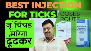 जूं चिंचड़ मारेगा ढूंढकर 👍🏽Best Ticks Injection for Cow Buffalo 🦬 [upl. by Ordnaxela]