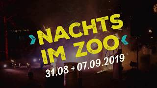 Nachts im Zoo 2019  Teil 1 [upl. by Nivej105]