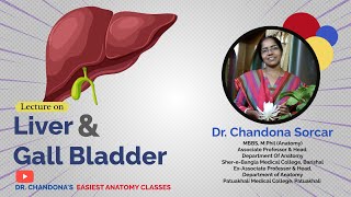 Lecture On Gross Anatomy Of The Liver amp Gall bladder [upl. by Singer]