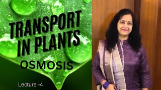 Osmosis  A Universal Process Occuring in plants  Easy Explanation  Biology Ocean [upl. by Yroffej629]