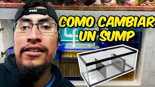 Cambiamos el sump de una de las mejores peceras de peces discos [upl. by Kenwood46]