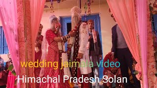 Wedding Jaimala video ❤️ Solan Himachal Pradesh [upl. by Lebana808]