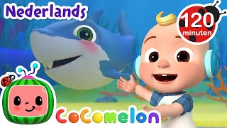 Babyhaai  CoComelon Nederlands  Kinderliedjes [upl. by Azral]