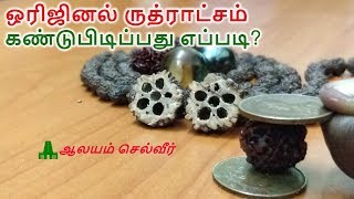 ஒரிஜினல் ருத்ராட்சம் கண்டுபிடிப்பது எப்படி  How To Find Fake Rudraksha [upl. by Lukey847]