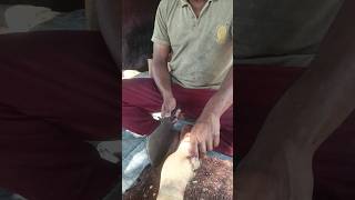 Pye cutting expert butchers beef meat [upl. by Laing]