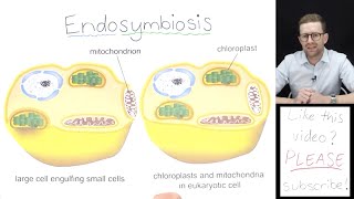 What is Endosymbiosis [upl. by Pugh]