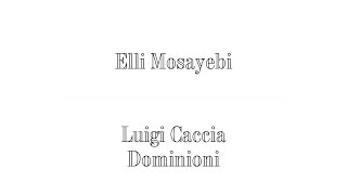 Elli Mosayebi EMI Architekten x Luigi Caccia Dominioni  The Difficult Double [upl. by Dutchman]