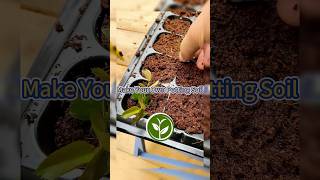 Make your own potting soil shortvideo plants garden youtubeshorts soil agriculture viralvideo [upl. by Rats641]