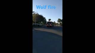 WOLF FIRE BANNING CA [upl. by Schellens]