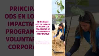 Informe de voluntariado corporativo 2024 shorts [upl. by Atteyram]