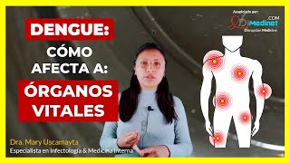 🟢 IMPACTO DEL DENGUE EN ÓRGANOS CLAVE ▶ Dra Mary Uscamayta 👩‍⚕️ [upl. by Sirred]