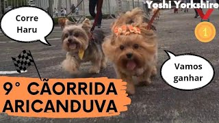 9° CÃOrrida do Shopping Aricanduva 2023 [upl. by Ativak]