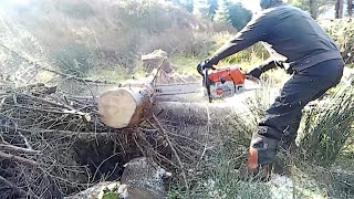 Stihl 881 Ripping chips in slow Motion [upl. by Pulcheria772]