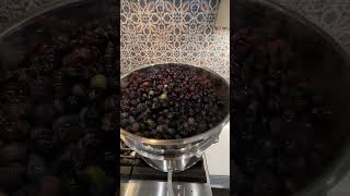 Steam Juicer canning steamjuicer grapejuice fruitjuice [upl. by Michaud518]