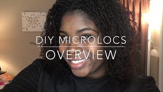 DIY Microlocs with Twists [upl. by Inait447]