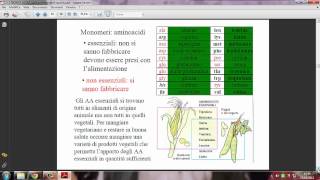 Biomolecole Lipidi Proteine e Acidi nucleici [upl. by Annaiuq]