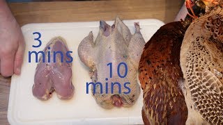 How to Quickly Pluck and Dress Pheasant [upl. by Hsakiv]