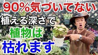 【ほとんど間違い】植物の正しい植え付け位置教えます【ウォータースペース】 【園芸】【ガーデニング】【カーメン君】 [upl. by Liris353]