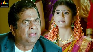 Naayak Movie Comedy Scenes Back to Back  Brahmanandam JP Ram Charan  Latest Telugu Scenes [upl. by Oakie]