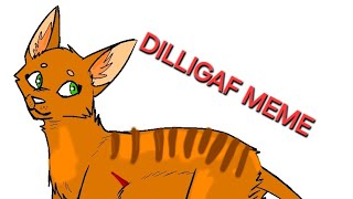 DILLIGAF MEME FT SQUIRRLFLIGHT AND ASHFUR Credit on screen [upl. by Gun]