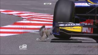 GP2 2013 Monaco  Nasr vs Bird Practice [upl. by Surovy]