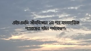 এইচএসসি জীববিজ্ঞান ১ম পত্র ব্যাবহারিক পত্ররন্ধ্রের গঠন পর্যবেক্ষণ [upl. by Leunad]