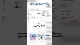 Leukocytosis Increased WBC [upl. by Oek]