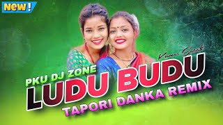 Nagpuri Dj Song 2024  Ludu Budu Shag  Pku Dj Zone [upl. by Delija589]