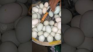 Healthy Boiled Egg Selling 🥚😱 shorts [upl. by Htennaj]