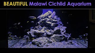 AWESOME Aquarium for Malawi Cichlids [upl. by Auberon196]