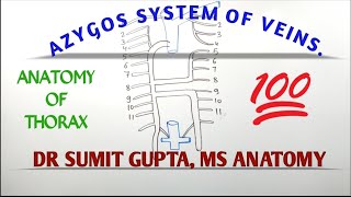 AZYGOS SYSTEM OF VEIN [upl. by Pellikka846]