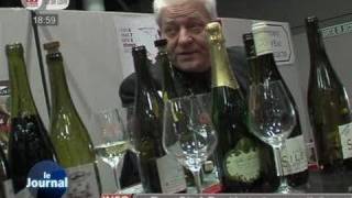 576 exposants au Salon des Vins de Loire dAngers [upl. by Eniarral]