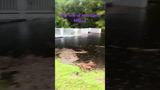 Day one of hurricane Milton the creeks already flooding stay tuned for day two Creek Hurricane [upl. by Nnaecyoj134]