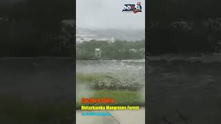 Cyclone DANA  Bhitarkanika Mangroves Forest [upl. by Sakovich168]