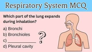 Human Respiratory System MCQ  Respiratory System MCQs  Respiratory System [upl. by Coleville930]