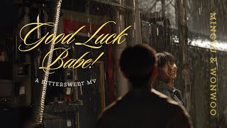 Mingyu amp Wonwoo Minwon Good Luck Babe A Bittersweet Music Video [upl. by Origra672]