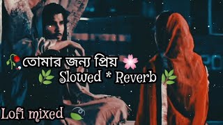 Mind Relax Lofi Bangla Mashup Lofi Songs Feel The Music Bangla sad gaan slowed reverb Sad Song [upl. by Winfrid]