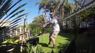 Mowing the lawn How to mow cut grass Honda Mower Stihl Trimmer Pittwater Mowing [upl. by Elleon29]